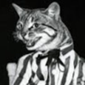 Meet your Posher, Eva